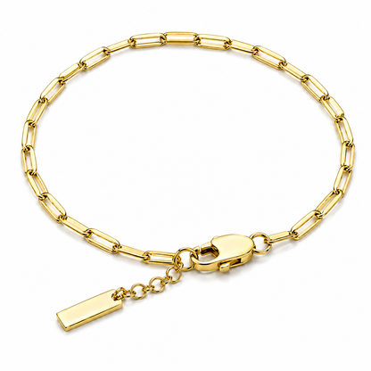 Clip Chain Bracelet