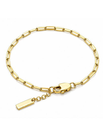 Clip Chain Bracelet