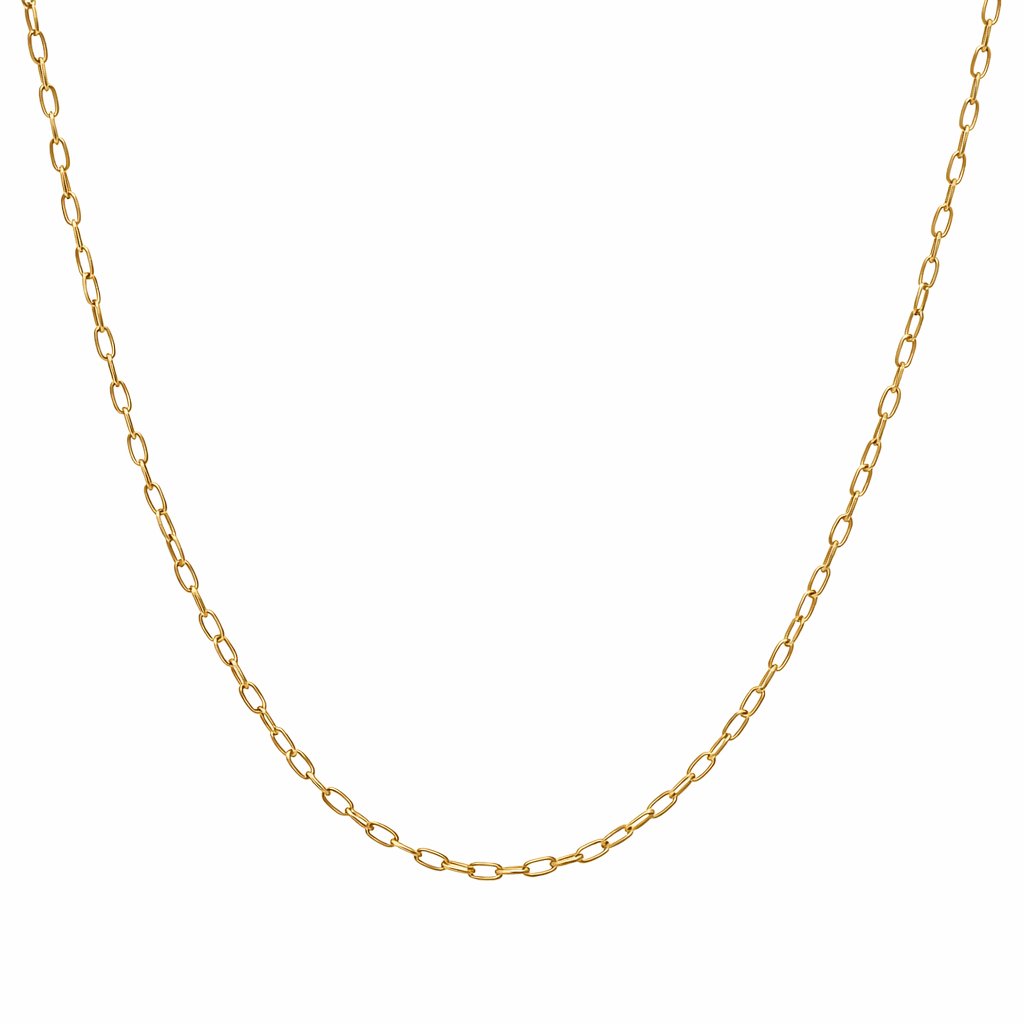 Clip Chain Necklace