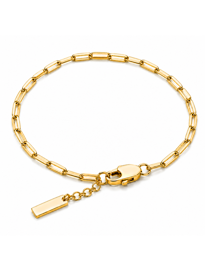 Clip Chain Bracelet